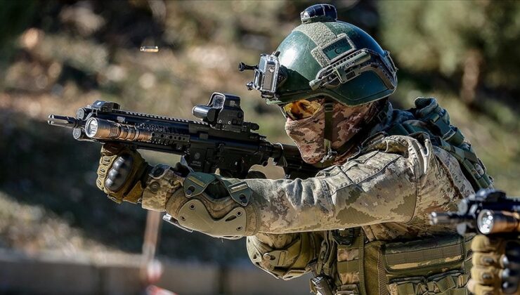 Barış Pınarı ve Zeytin Dalı Harekatı bölgelerinde 10 terörist etkisiz hale getirildi