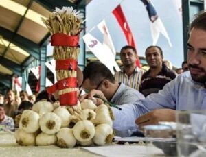 Taşköprü Kültür ve Sarımsak Festivali iptal edildi