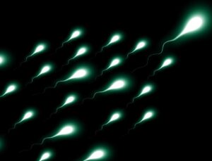 550 çocuğun donörü oldu, sperm bağışlaması yasaklandı