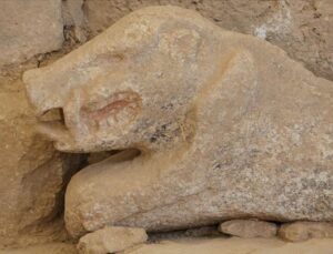 Göbeklitepe’de bulunan yaban domuzu heykeli görüntülendi